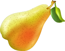 M. Y. Banana Suppliers