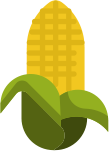 M. Y. Banana Suppliers