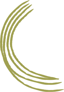M. Y. Banana Suppliers