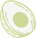 M. Y. Banana Suppliers