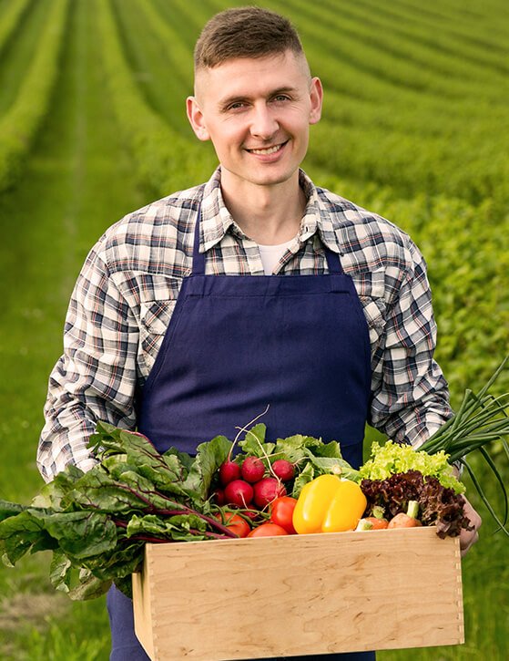 M. Y. Banana Suppliers